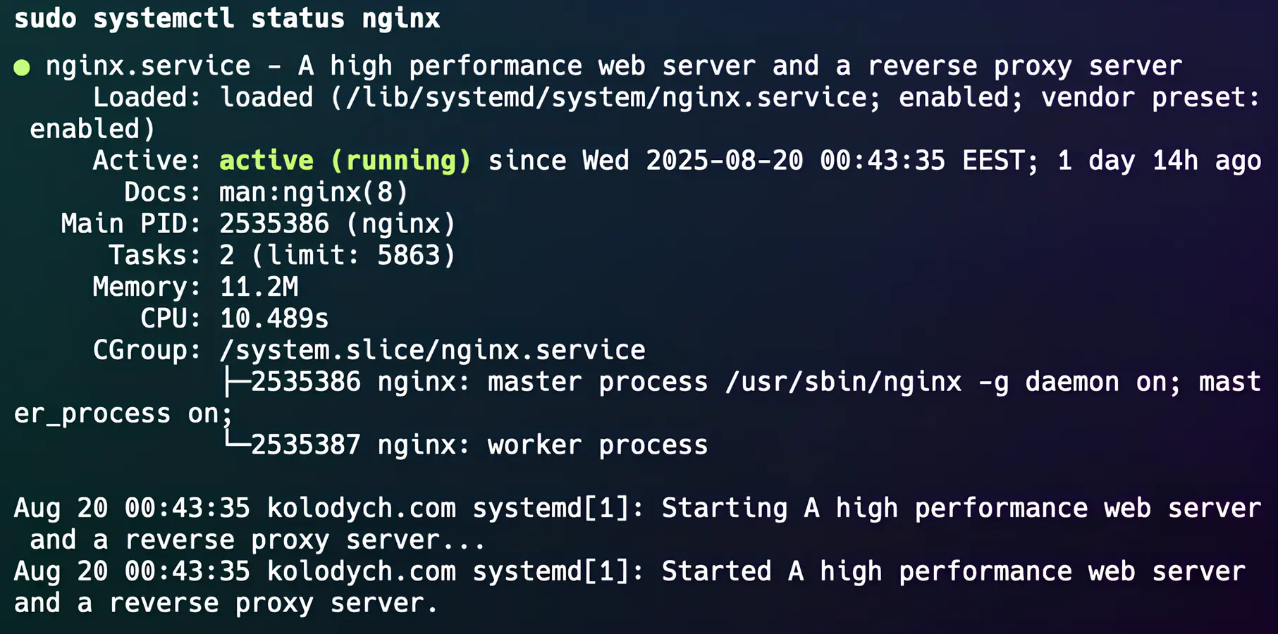 Nginx running service on Linux server status